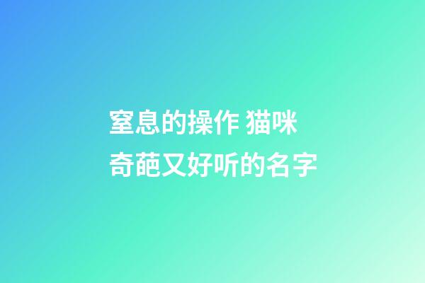 窒息的操作 猫咪奇葩又好听的名字